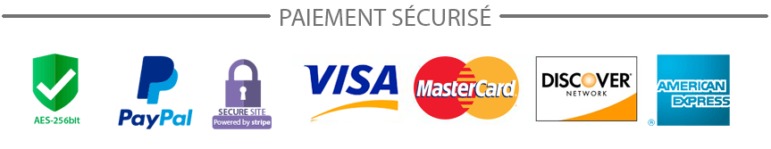 paiement securise